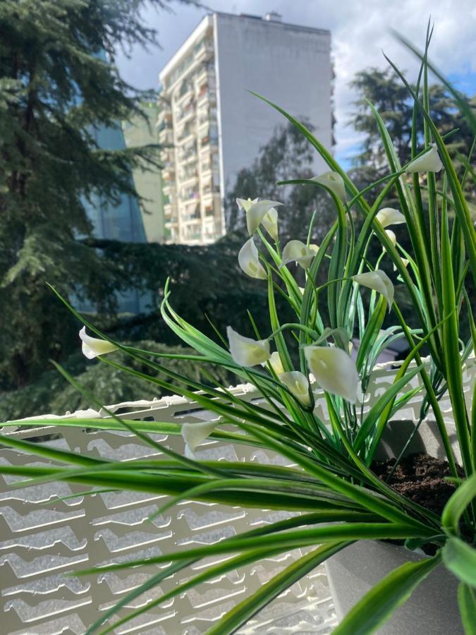 Jonexh Apartment Tirana